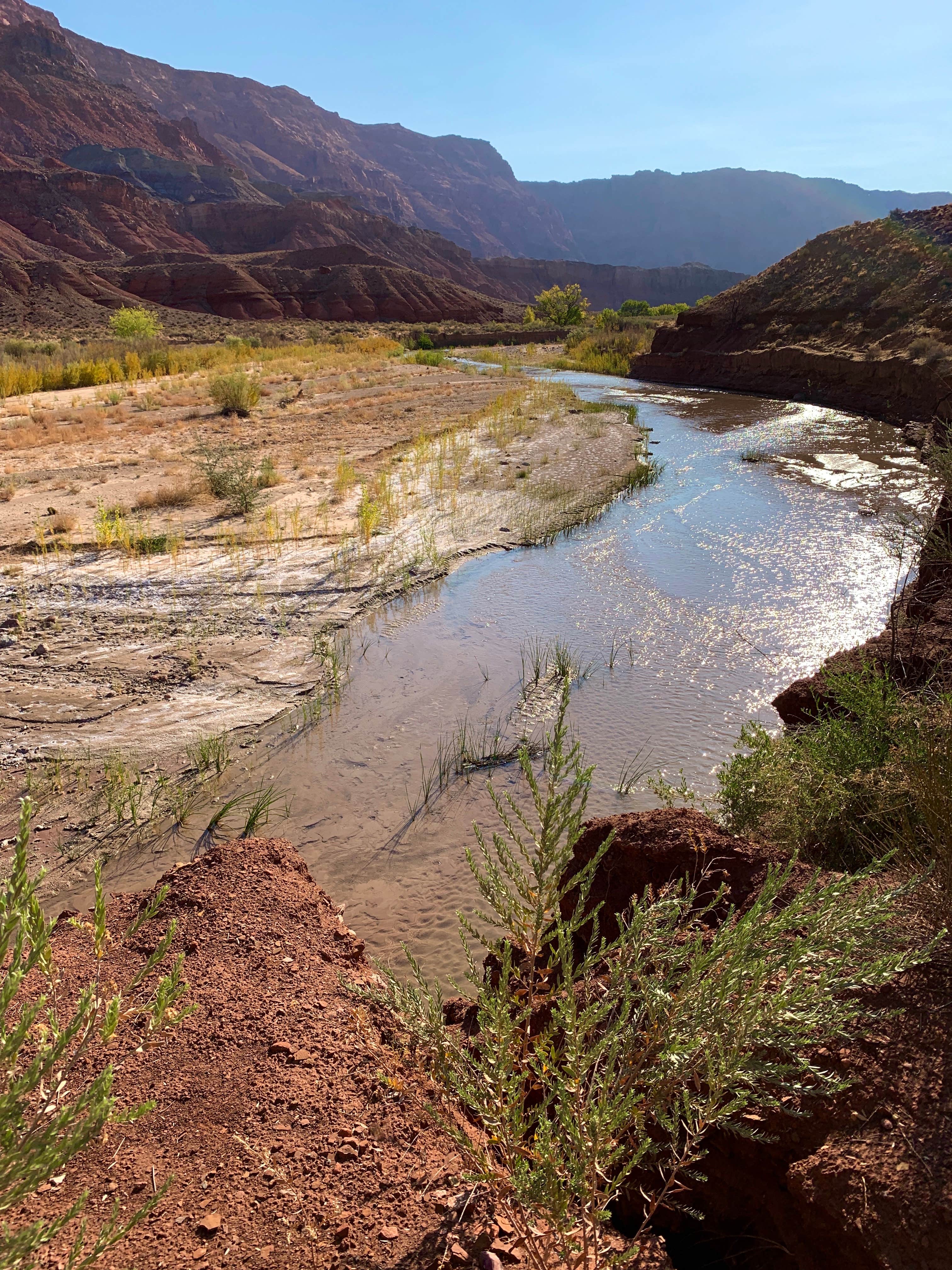Camping near Paria Canyon Wilderness - Final Designated Campsite Before Lee's Ferry: Lees Ferry Campground — Glen Canyon National Recreation Area, Marble Canyon, Arizona