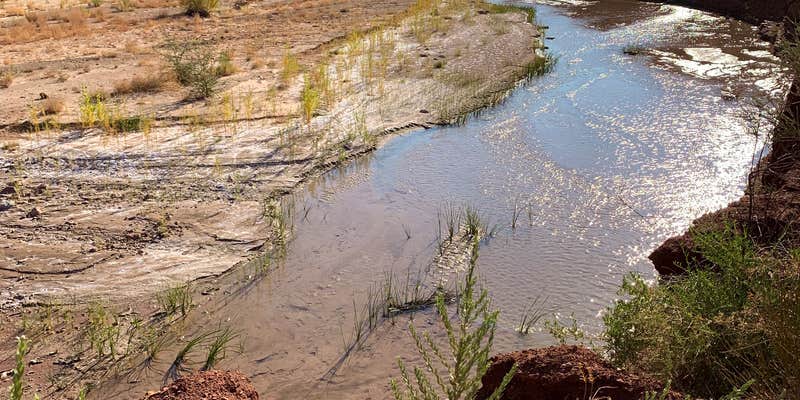Camper submitted image from Lees Ferry Campground — Glen Canyon National Recreation Area