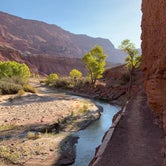 Review photo of Lees Ferry Campground — Glen Canyon National Recreation Area by Kate B., March 17, 2021