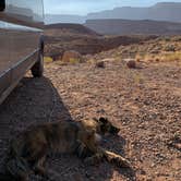 Review photo of Lees Ferry Campground — Glen Canyon National Recreation Area by Kate B., March 17, 2021