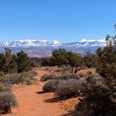 Review photo of Kayenta Campground — Dead Horse Point State Park by Kate B., March 17, 2021