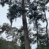 Review photo of Skidaway Island State Park Campground by jessica O., March 17, 2021