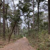 Review photo of Skidaway Island State Park Campground by jessica O., March 17, 2021