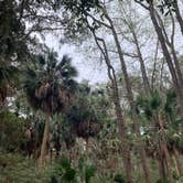 Review photo of Skidaway Island State Park Campground by jessica O., March 17, 2021
