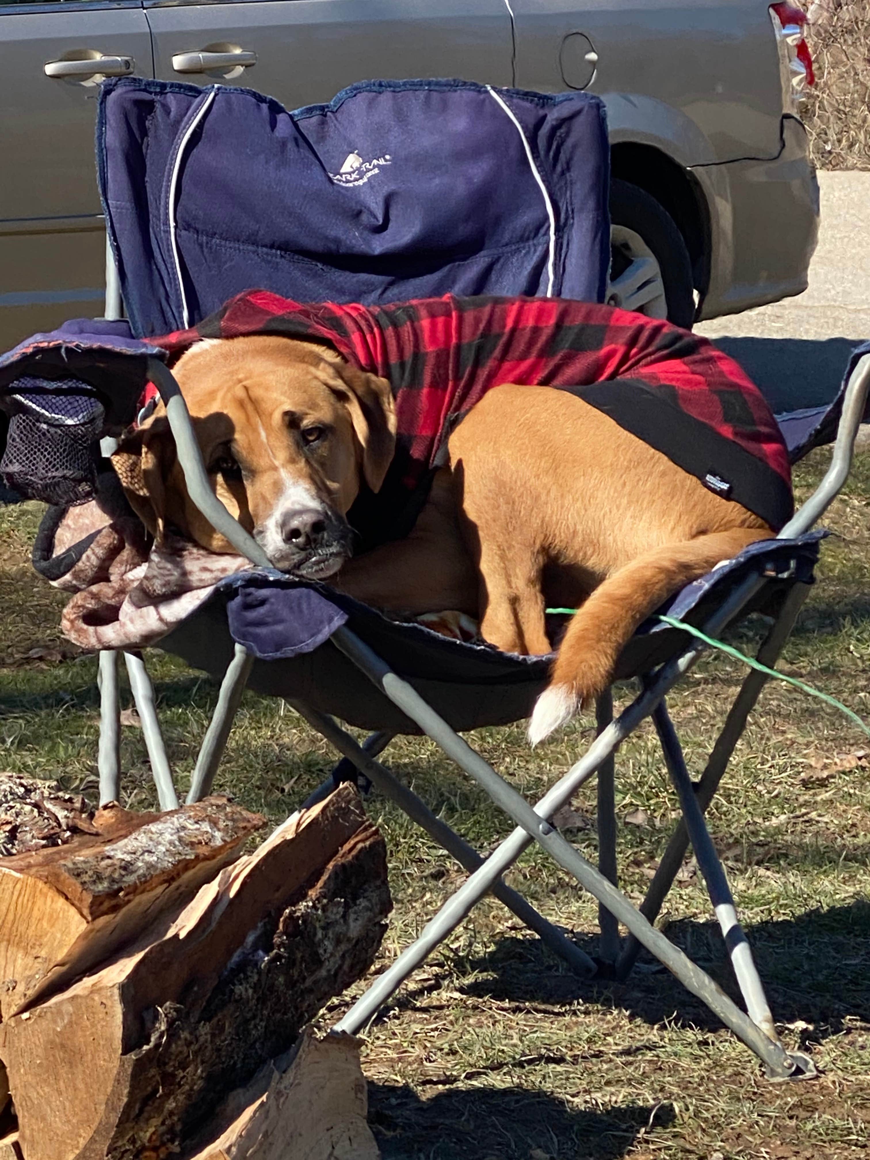 Camper submitted image from Hocking Hills State Park Campground - 1