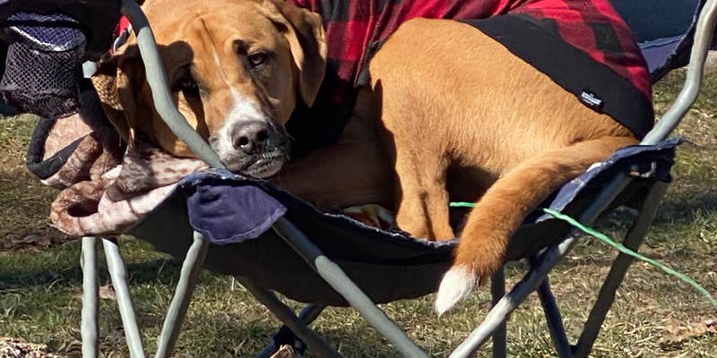 Camper submitted image from Hocking Hills State Park Campground