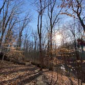 Review photo of A.W. Marion State Park Campground by Shannon G., March 18, 2021