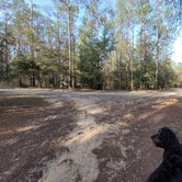 Review photo of Blakeley State Park Campground by DALLEEN , March 18, 2021