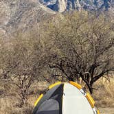 Review photo of Catalina State Park Campground by Janet H., March 18, 2021