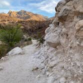 Review photo of Catalina State Park Campground by Janet H., March 18, 2021