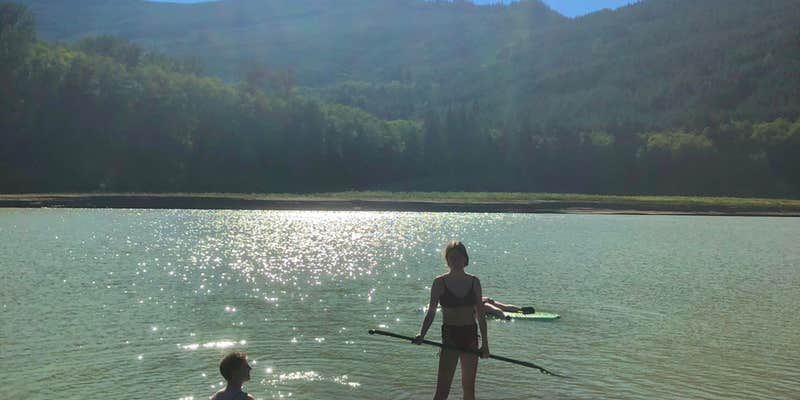 Camper submitted image from Riffe Lake Campground