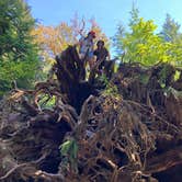 Review photo of Staircase Campground — Olympic National Park by Lucy , March 18, 2021