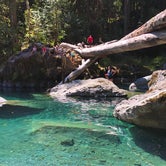 Review photo of Staircase Campground — Olympic National Park by Lucy , March 18, 2021