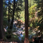 Review photo of Staircase Campground — Olympic National Park by Lucy , March 18, 2021