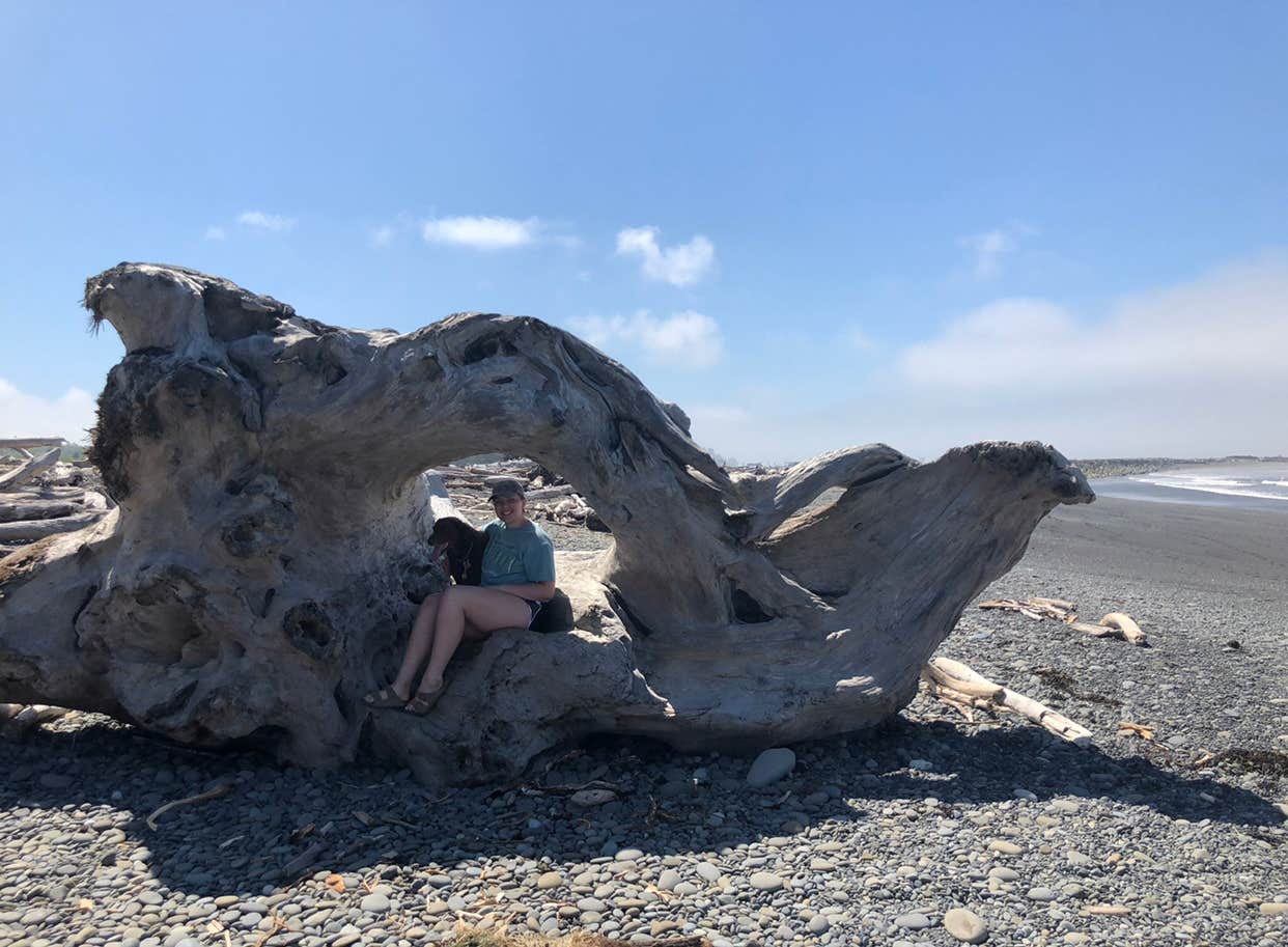 Mora Campground — Olympic National Park