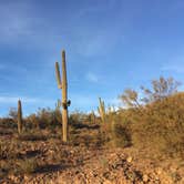 Review photo of Old Airstrip Camping & Staging Area by Elisabeth Q., March 18, 2021
