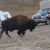Review photo of Sage Creek Campground by j S., March 18, 2021