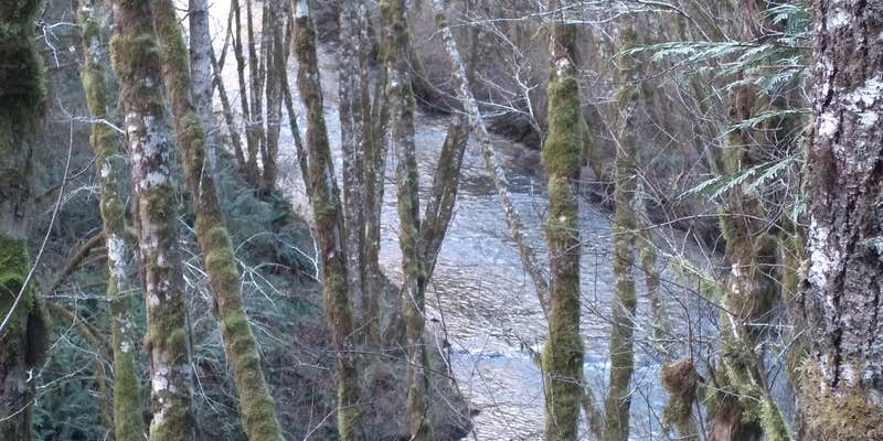 Camper submitted image from Hubert K McBee Memorial Campground