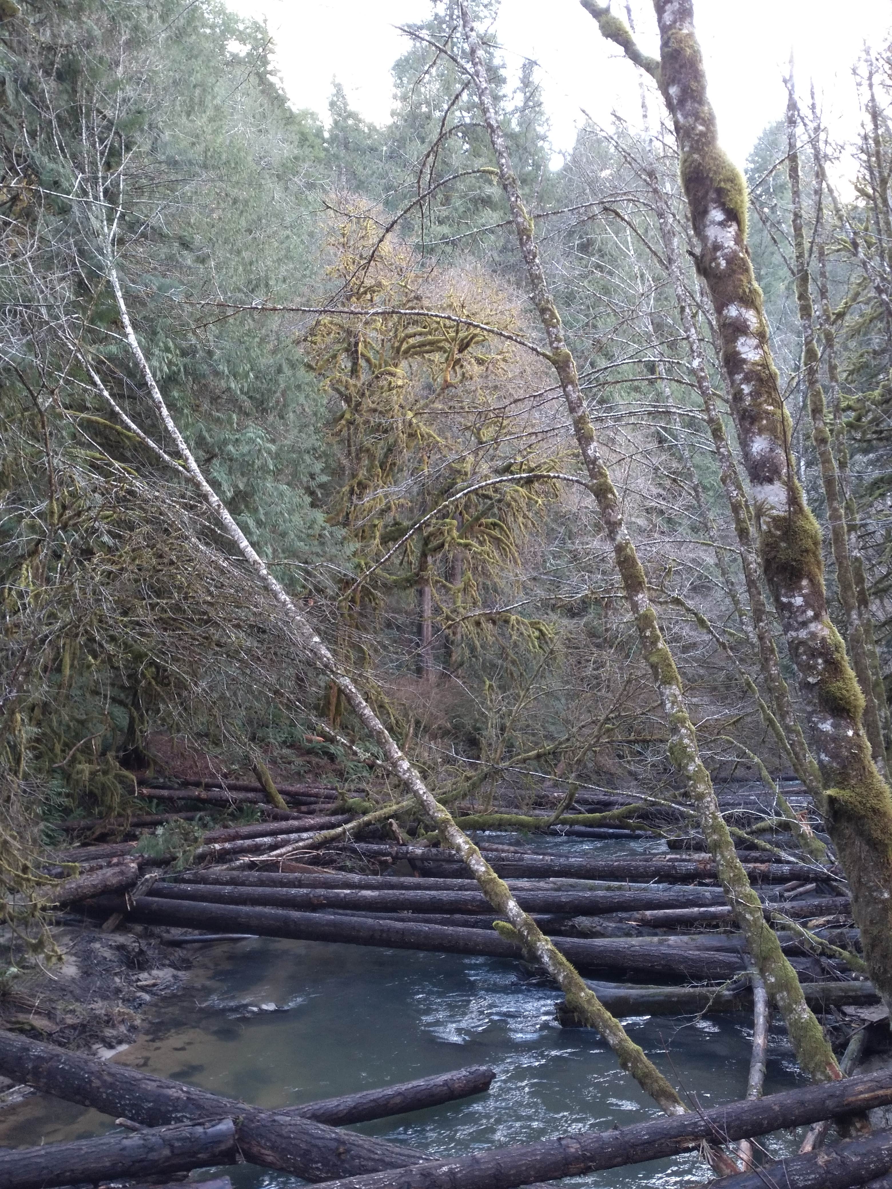 Camper-submitted photo at Hubert K McBee Memorial Campground near Monroe, OR