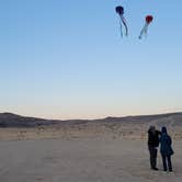 Review photo of Joshua Tree Lake Dispersed Camping by Pinkie K., March 18, 2021