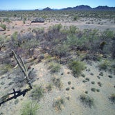 Review photo of BLM Ironwood Forest National Monument - Pipeline Rd Dispersed camping by Steve , March 18, 2021