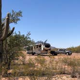 Review photo of BLM Ironwood Forest National Monument - Pipeline Rd Dispersed camping by Steve , March 18, 2021