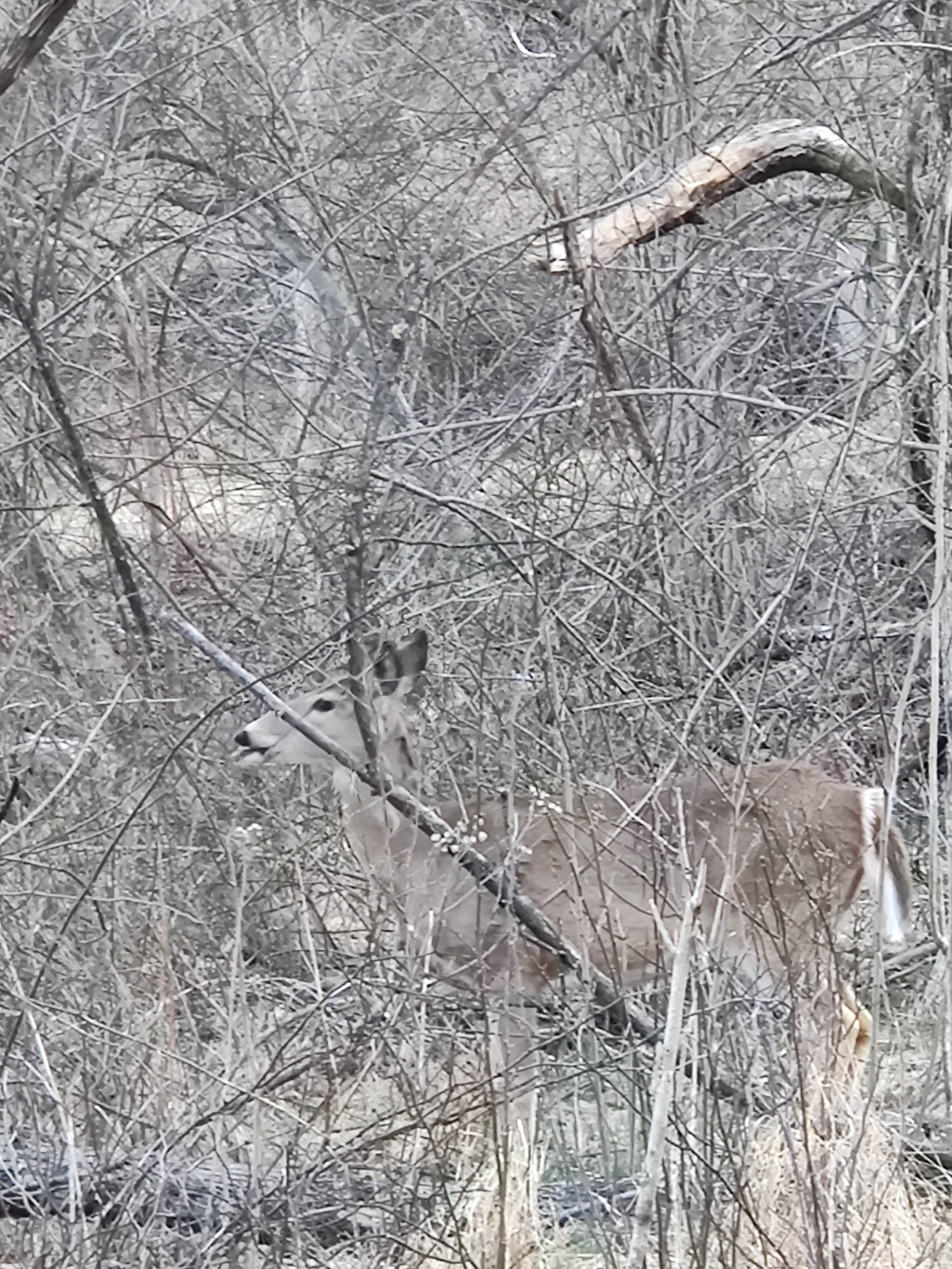 Camper submitted image from Sky Meadows State Park Campground - 1