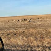 Review photo of Sage Creek Campground by Joie V., March 19, 2021