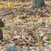 Review photo of Blythe Island Regional Park by Mea H., March 19, 2021