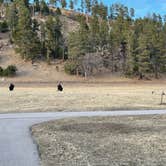 Review photo of Game Lodge Campground — Custer State Park by Joie V., March 19, 2021