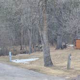 Review photo of Game Lodge Campground — Custer State Park by Joie V., March 19, 2021