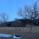 Review photo of Game Lodge Campground — Custer State Park by Joie V., March 19, 2021