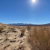 Review photo of Kelso Dunes Dispersed — Mojave National Preserve by Kayla D., March 19, 2021