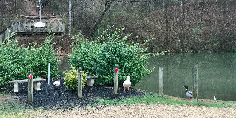 Camper submitted image from Misty Mountain Camp Resort