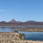 Review photo of Alamo Lake State Park Campground by Lisa H., March 19, 2021