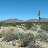 Review photo of Alamo Lake State Park Campground by Lisa H., March 19, 2021