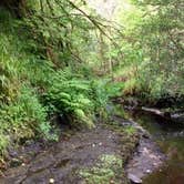 Review photo of Mt Hood Village Resort by Julie P., May 30, 2018