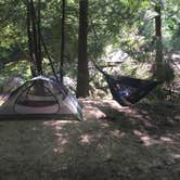 Review photo of Thompson Creek Trail Campsites by Matthew P., July 13, 2016
