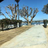 Review photo of Newport Dunes RV Resort by Chad M., March 19, 2021