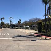 Review photo of Newport Dunes RV Resort by Chad M., March 19, 2021
