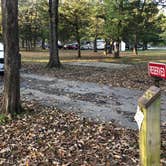 Review photo of Devil's Den State Park Campground by Lee D., March 19, 2021