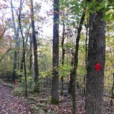 Review photo of Devil's Den State Park Campground by Lee D., March 19, 2021