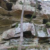 Review photo of Devil's Den State Park Campground by Lee D., March 19, 2021