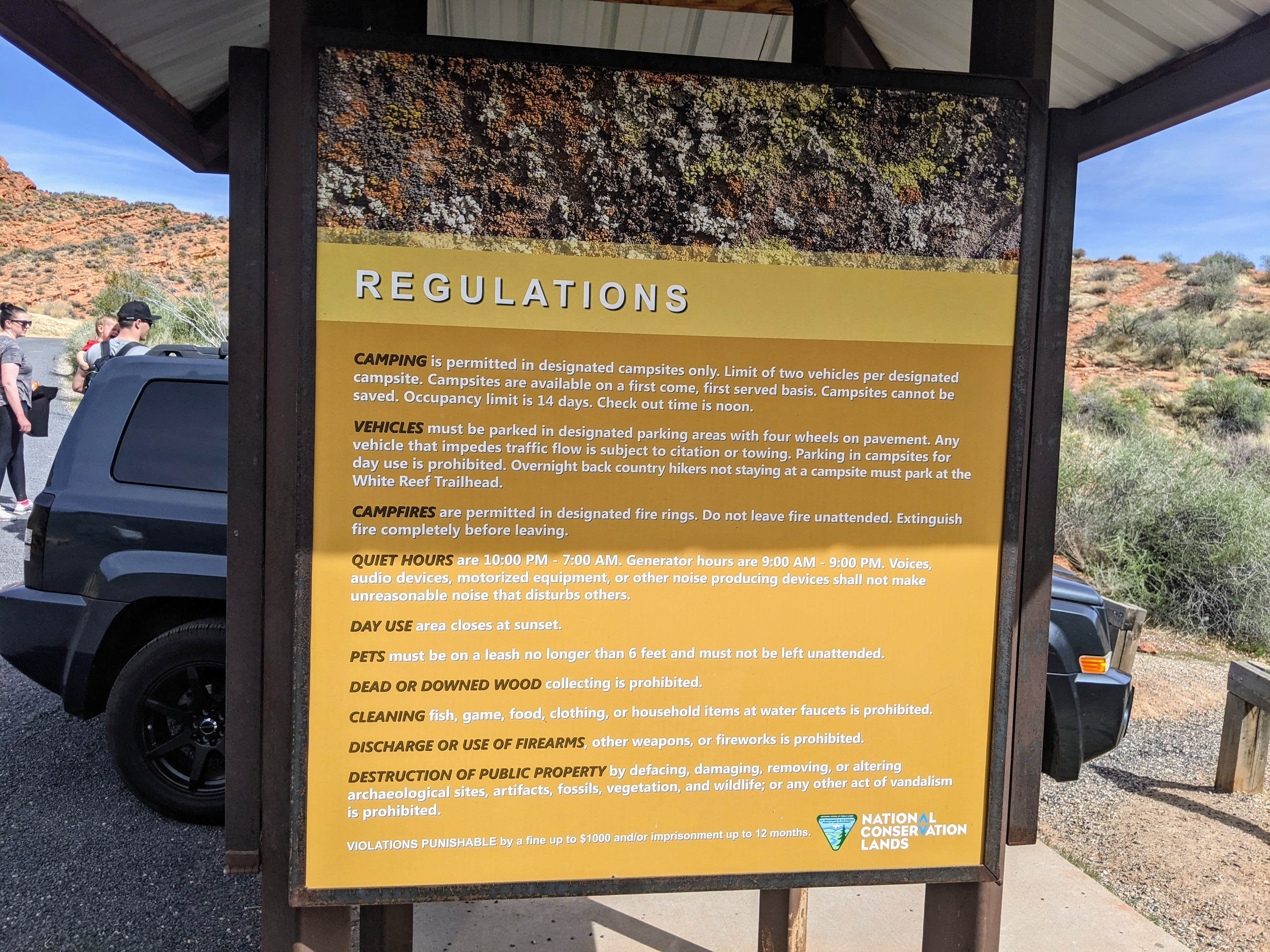 Camper submitted image from Red Cliffs Campground - 4