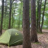 Review photo of Perch Lake State Forest Campground by Kate K., March 20, 2021