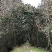 Review photo of Mount Pleasant-Charleston KOA by Tammy P., March 20, 2021