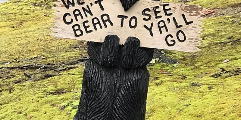 Camper submitted image from Smoky Bear Campground