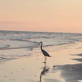 Review photo of Follett’s Island Beach by Lisa S., March 20, 2021