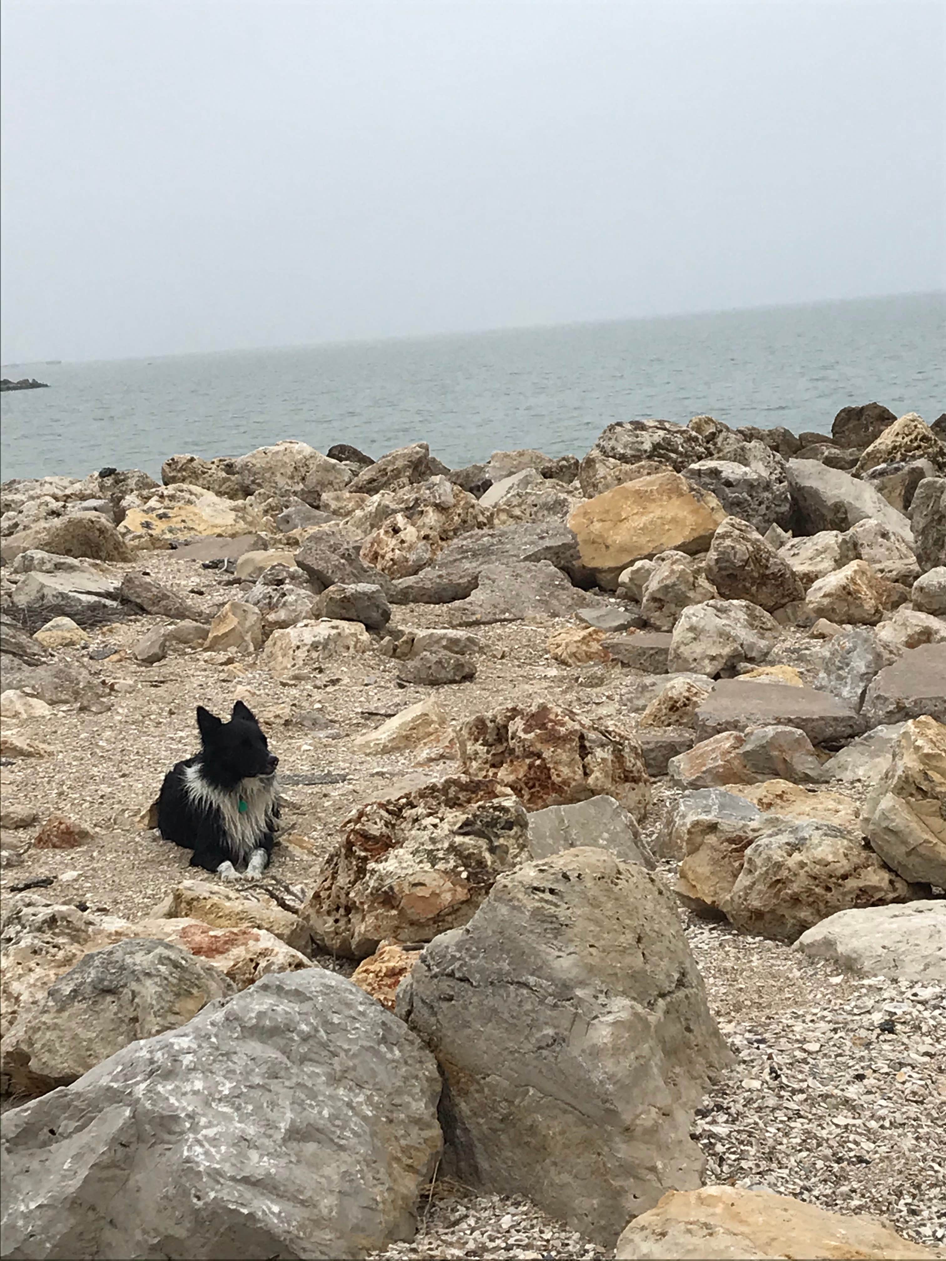 Best Camping Near Port O Connor Texas The Dyrt