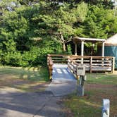 Review photo of South Beach State Park Campground by Fran S., March 20, 2021